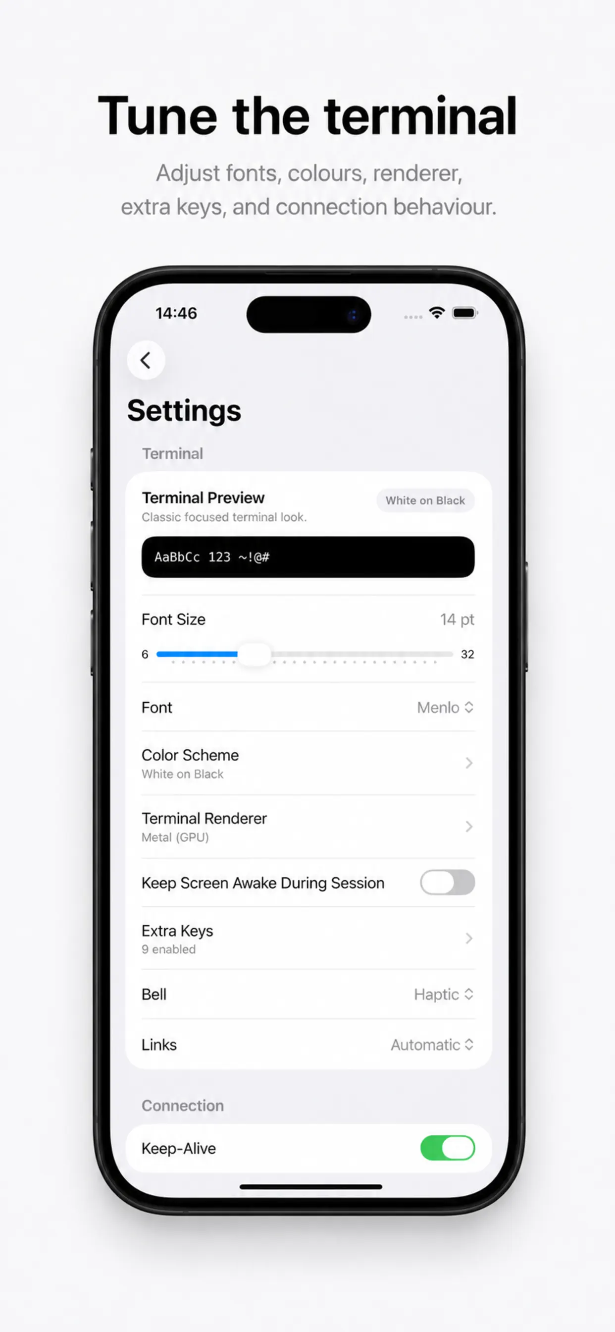 Termex terminal settings screen
